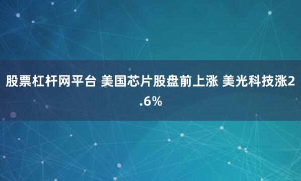 股票杠杆网平台 美国芯片股盘前上涨 美光科技涨2.6%