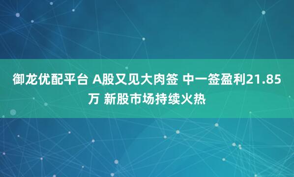 御龙优配平台 A股又见大肉签 中一签盈利21.85万 新股市场持续火热